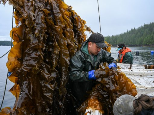 EcoTrust Canada
