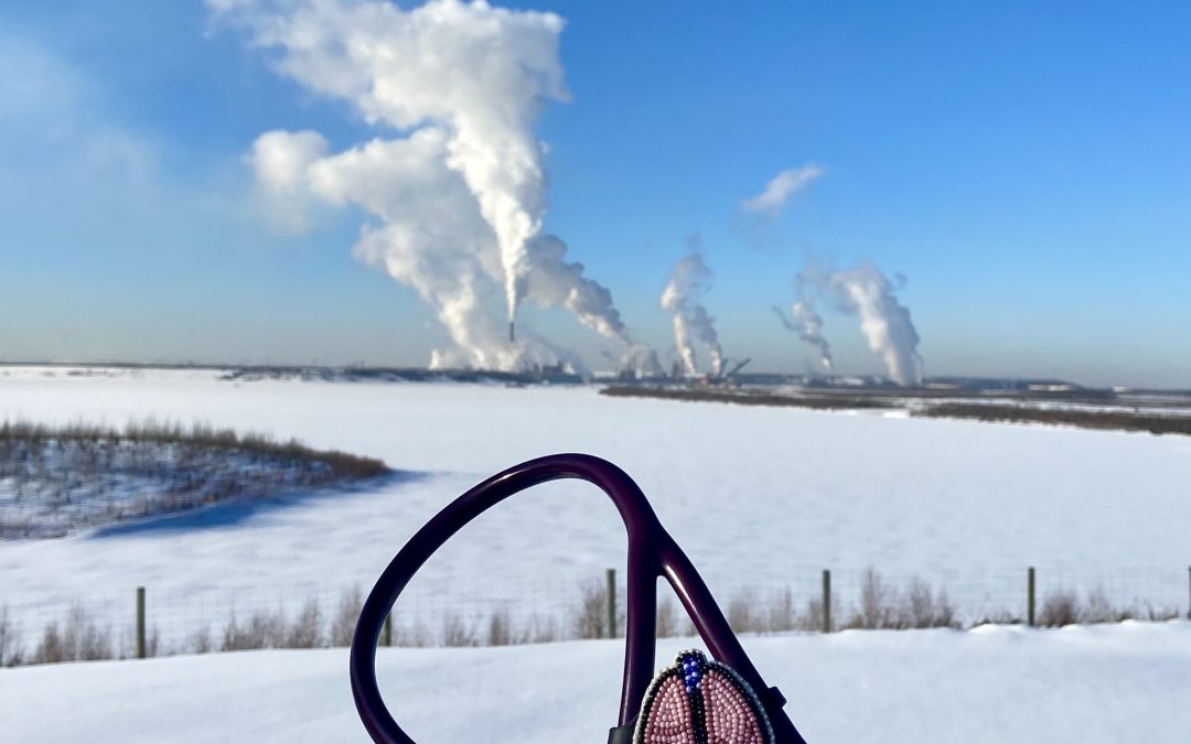 Canadian Association of Physicians for the Environment (CAPE)