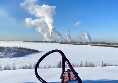 Canadian Association of Physicians for the Environment (CAPE)