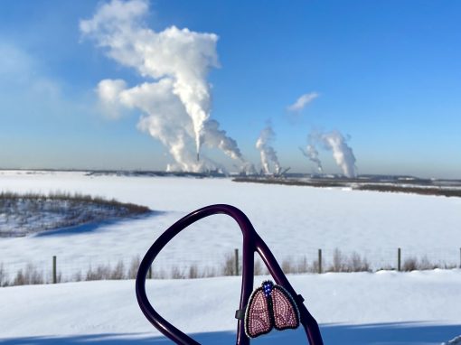Canadian Association of Physicians for the Environment (CAPE)