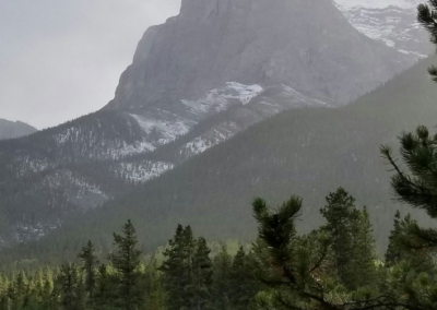 Environment Funders Canada