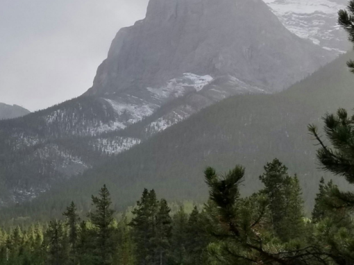 Environment Funders Canada