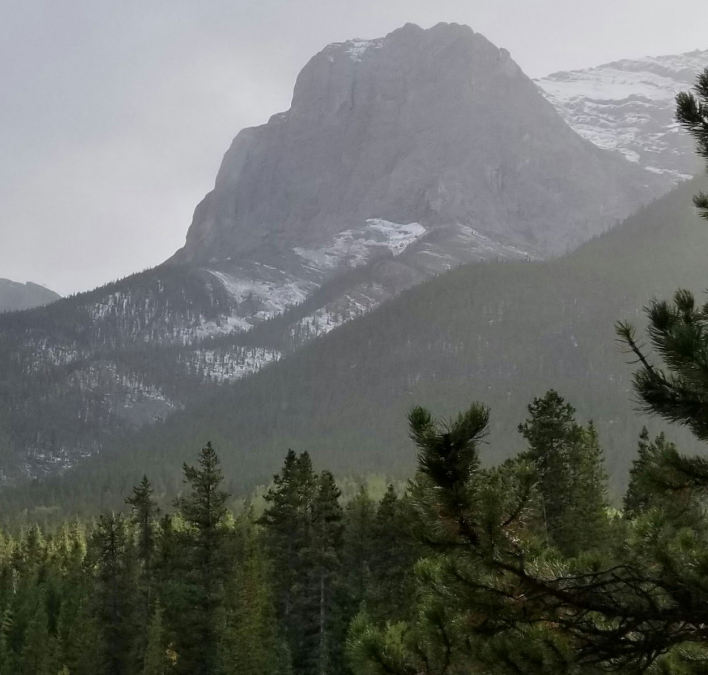 Environment Funders Canada