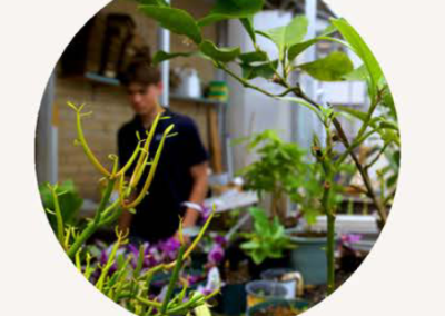 Foundation for Environmental Stewardship