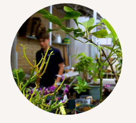 Foundation for Environmental Stewardship