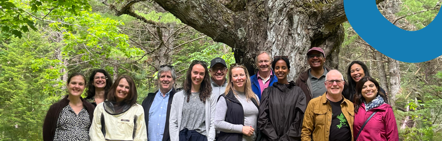 Image w_ overlay shapes