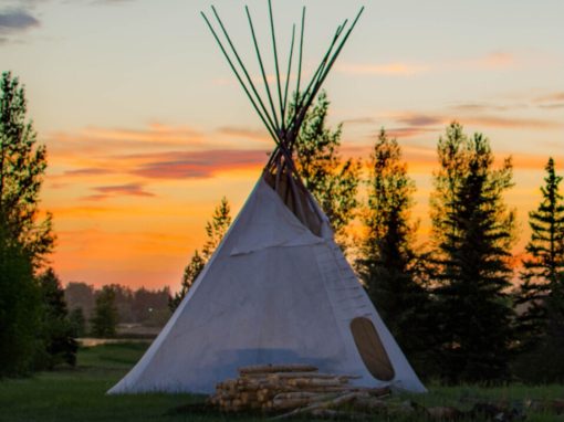 Raven Indigenous Impact Foundation