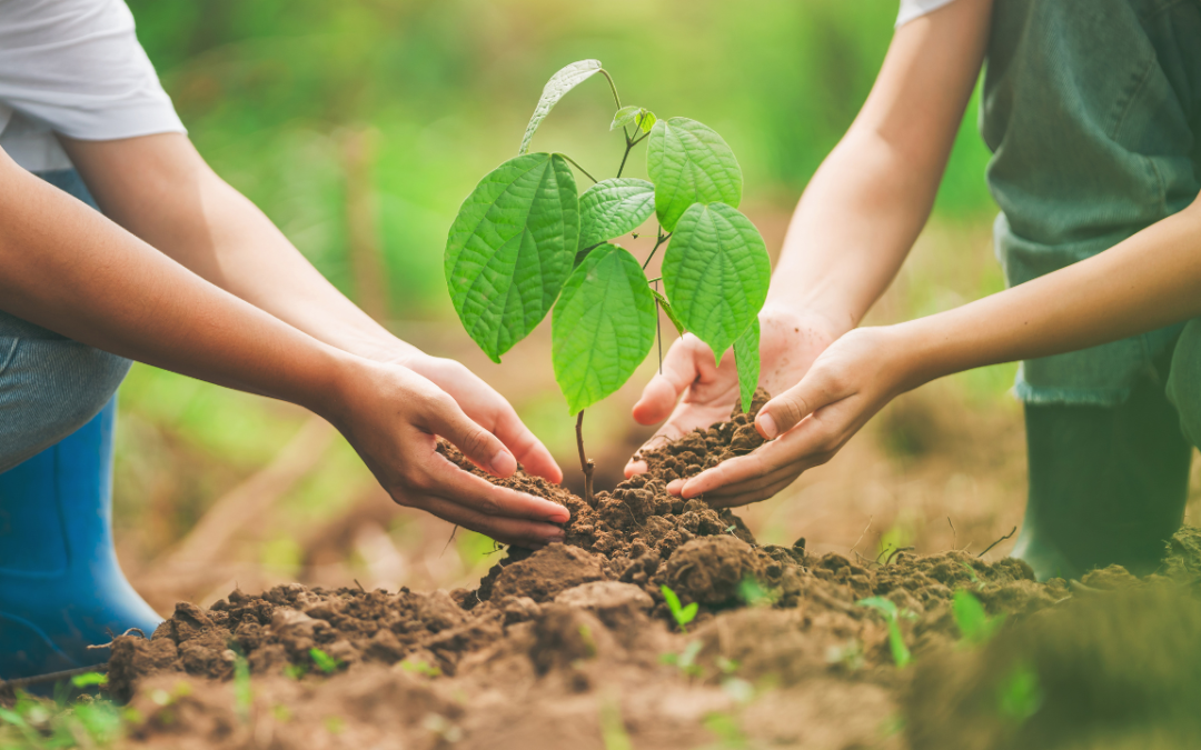 Charitable and Nonprofit Sector Infrastructure Collaborative Fund