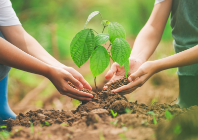 Charitable and Nonprofit Sector Infrastructure Collaborative Fund