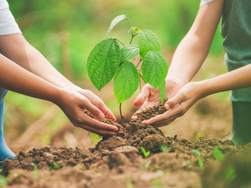 Charitable and Nonprofit Sector Infrastructure Collaborative Fund